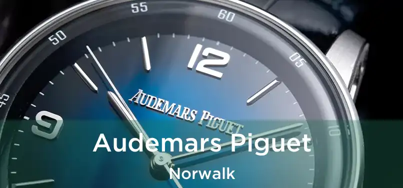  Audemars Piguet Norwalk