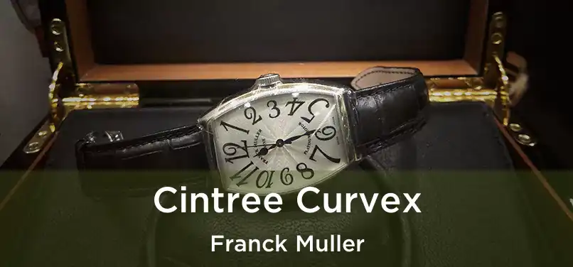  Cintree Curvex Franck Muller