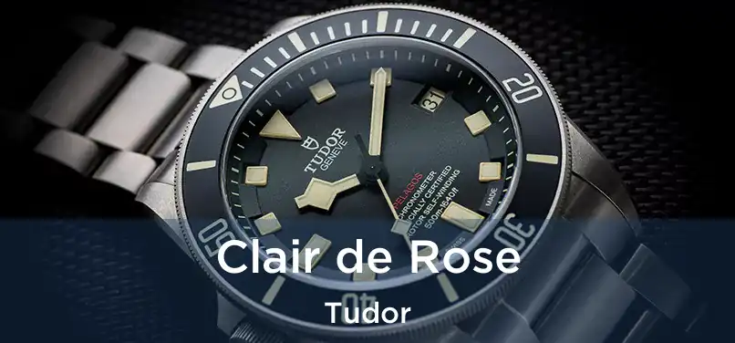  Clair de Rose Tudor