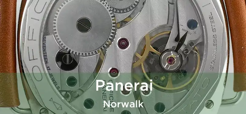  Panerai Norwalk