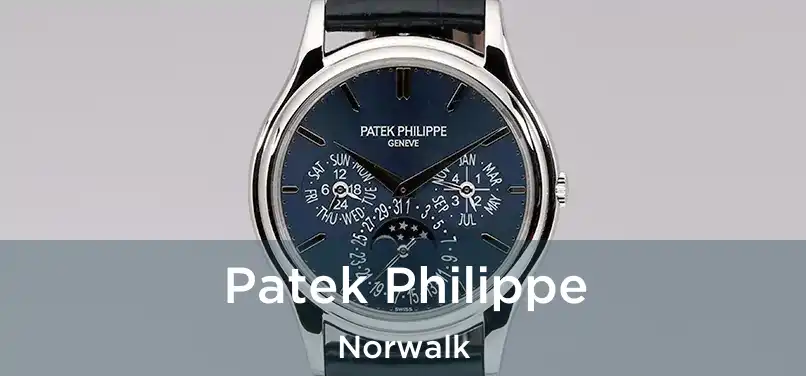  Patek Philippe Norwalk