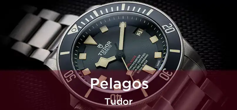  Pelagos Tudor