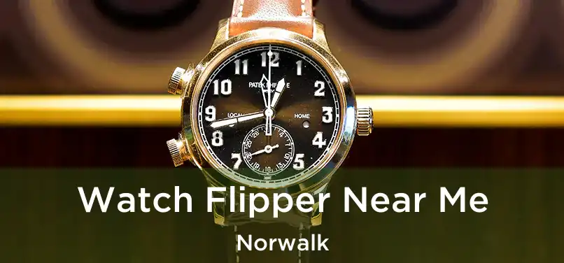  Watch Flipper Near Me Norwalk